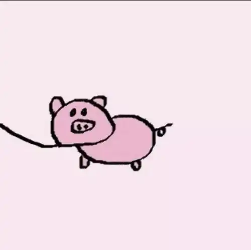  在不知情的情况下违反了交通规则怎么办