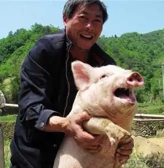  农业生产经营需要贷款快上这辆直通车