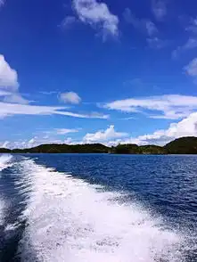 与闺蜜的五天四晚帕劳行