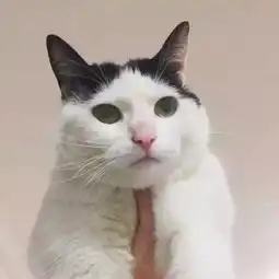 闺蜜头像