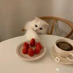 个性头像,换一个好看的头像吧