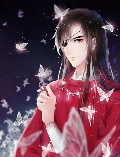 天官赐福果然是看过就忘不掉的啊