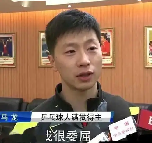  奥运国乒最全表情老乡金牌是搁这进货不