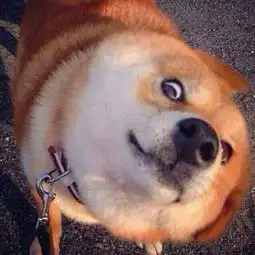  谁有好看的黑白情侣头像