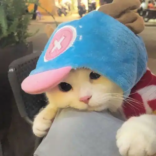  等打折系列平板游戏