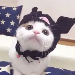 这个头像是情侣头像吗