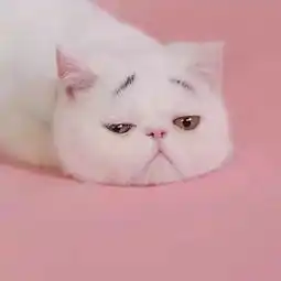超梦幻的微信背景图