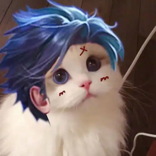  王者荣耀接头小猫咪头像曜