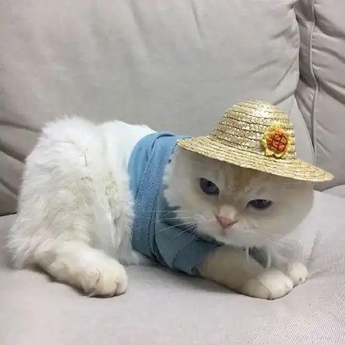 无标题