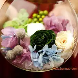  上海机场进口鲜花代理报关行,上海机场进口鲜花代理报关行生产厂家,上海机场进口鲜花代理报关行价格