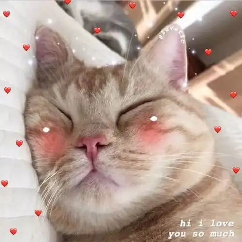  好看的朋友圈背景图