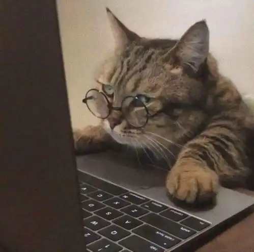  20年成人高考新手指南来喽