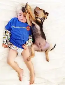  睡成这样妈妈怎么不管管