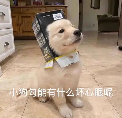  体测时我跳了一大步鞋跳了一小步