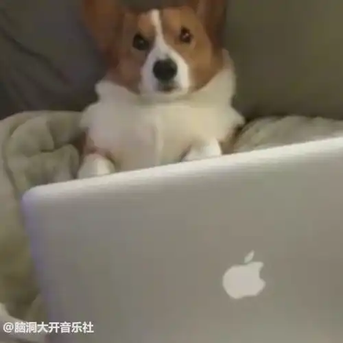  别人的情人节vs你的情人节