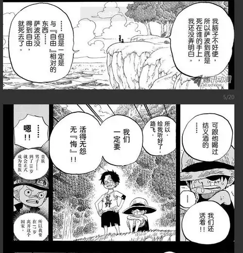  在路飞心中,海贼王的名号代表着什么