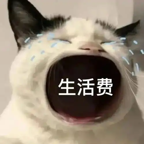  大嘴猫猫表情包