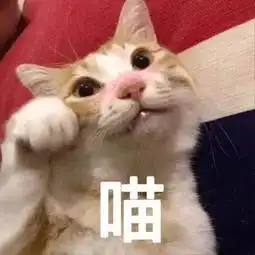 第一批20后出生怕孩子名字重名一键就能查询是不是独一无二