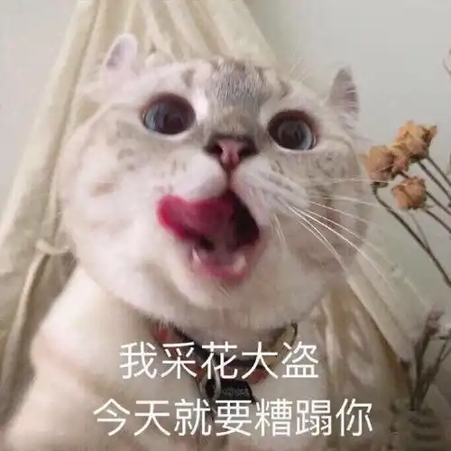  我是阆中的的个人空间acfun弹幕视频网认真你就输啦ω