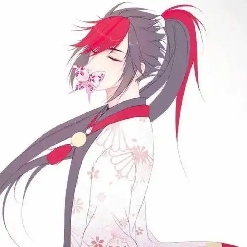  请问有没有动漫的扎高马尾的男生图片