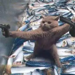  举手投足一坨柒的微博微博