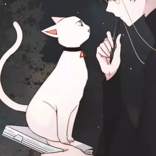  情侣头像丨有对象是种什么体验