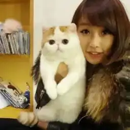  情侣头像抱着猫个性网