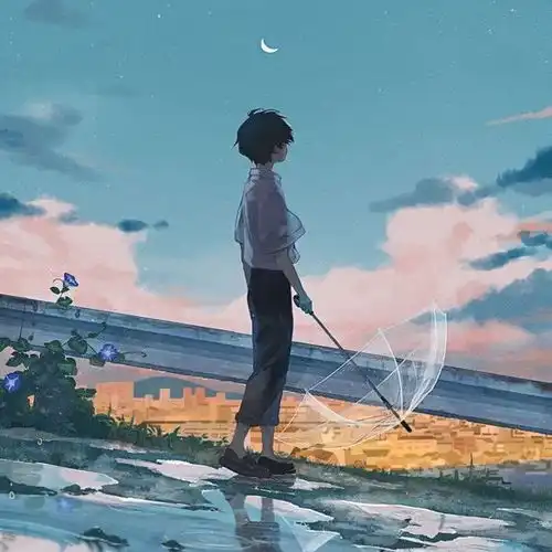  晚霞落后我们才变回自己动漫男头简约插画风