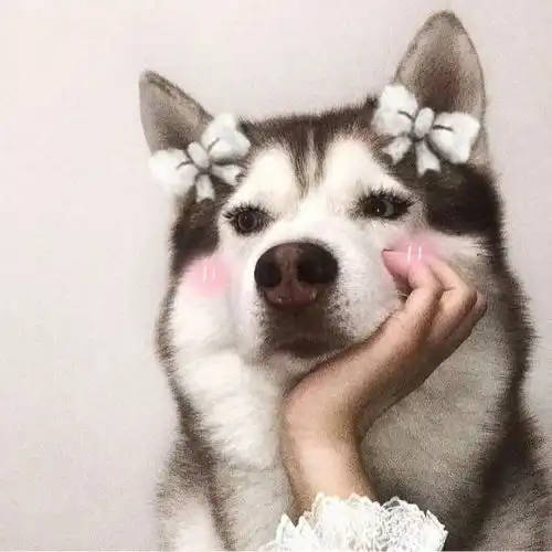  头像你看我沙雕吗头像