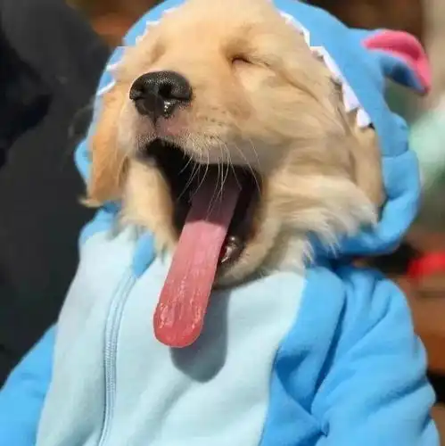 奇奇怪怪的搞怪头像
