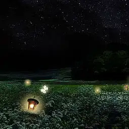  星空草地高清背景素材下载千库网第3页