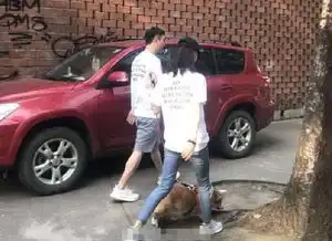  王思聪新任女友陈雅婷,身份不简单难怪狂撒800万购物不眨眼