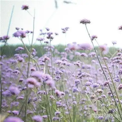  2020年有哪些兼职是适合推荐给现在的上班族分享这4个