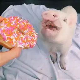  早安图片大全唯美小清新2019不想进球门想进你的心门