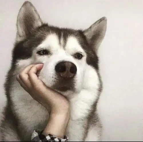  情侣头像超高清独一无二的情侣头像