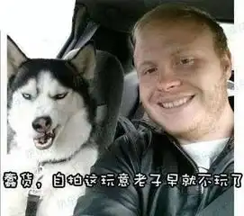 论拍照我只服哈士奇,360度各种姿势都能轻松驾驭