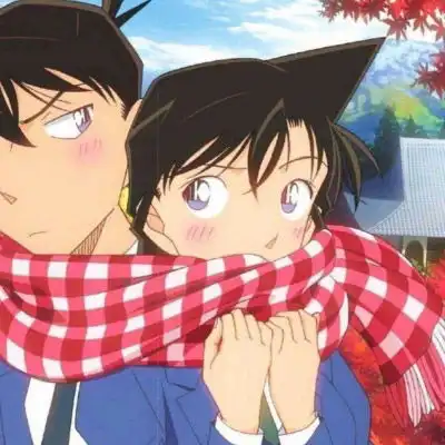  柯南情头一左一右抖音最火2020柯南一人一张cp情头