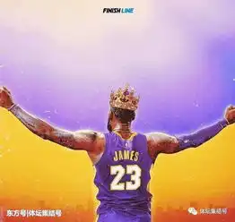  詹姆斯驾临洛杉矶,湖人要崛起了