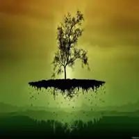  绿色树木森林微信头像微信头像图片大全