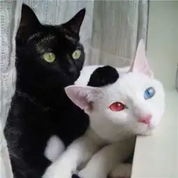  选择题你全选d,不要天天想什么罩杯就选什么