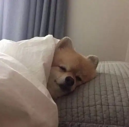  头像180张热门微信头像