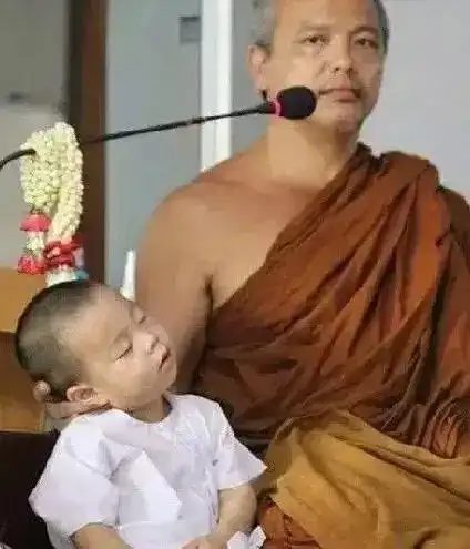  一大群呆萌小和尚来袭,你萌你说什么