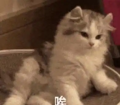  每日一笑闺蜜穿着睡衣去相亲,真让我难堪