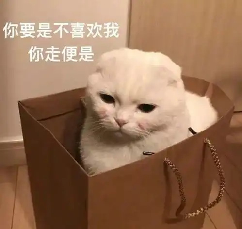  学会生招新ll我们真的很不错