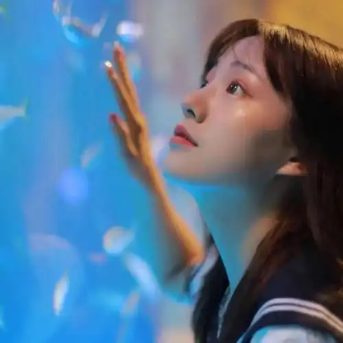  情侣头像夏天有着迟暮的霞光正如晚来的你皆是笑意