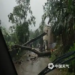  狂风暴雨来袭广东曲江道路塌方大树被吹倒