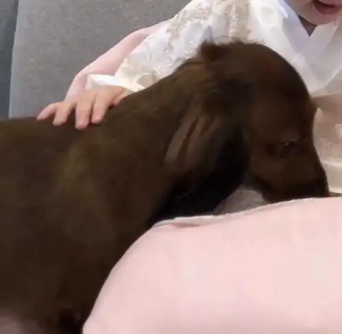  情侣头像男朋友不是人系列