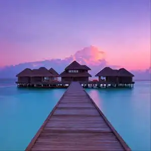  50岁男人微信风景头像