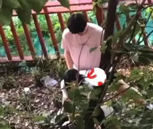  小情侣清晨小树林亲密互动,女孩姿势明显不舒服