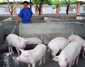  生猪价格基本企稳养殖龙头企业业绩提升潜力仍存